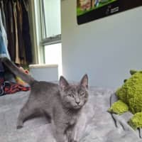 Photo of Antoinette