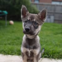 Photo of Judd Nelson