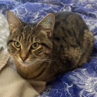 Photo of Mavis