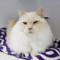 Photo of Wayne Rsua013802