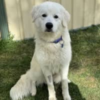 Photo of Murphy