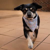 Photo of Jedda O'cleary