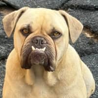 Photo of Milko