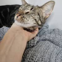 Photo of Squiggs
