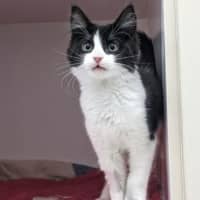 Photo of Paul Meow Lywood