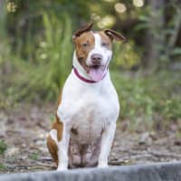 Photo of Rockin' Roxy