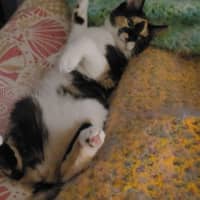 Photo of Jj Moo