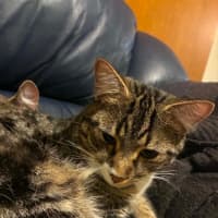 Photo of Lenny