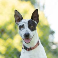 Photo of Morty