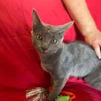 Photo of Alvin