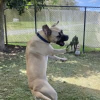 Photo of Phoebe