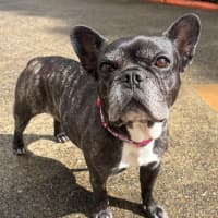 Photo of Catie