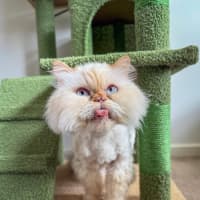 Photo of 🐾Little Bean🐾