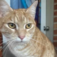Photo of Arna