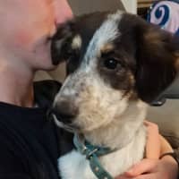 Photo of Polly