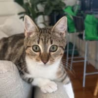 Photo of Evie