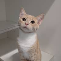 Photo of Frodo