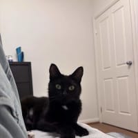 Photo of Soxie