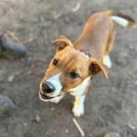 Photo of Latch