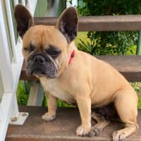 Photo of Betty