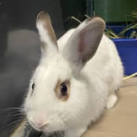 Photo of Peanut Butter (Bonded With Jelly)