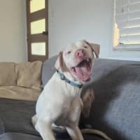 Photo of Whitey