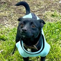 Photo of Scott (Turbo)