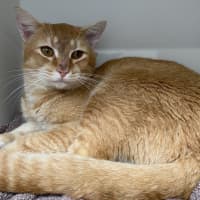Photo of Manny