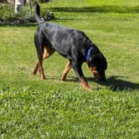 Photo of Max