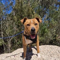 Photo of Roly