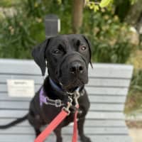 Photo of Bobbi
