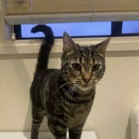 Photo of Kai   Located In Ashburton