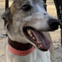 Photo of Hope