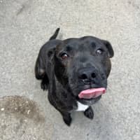 Photo of Miguel Los Santos