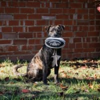 Photo of Benny Lozano