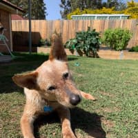 Photo of 1748. Niska