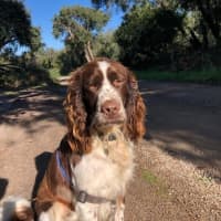 Photo of Ralph Valenti