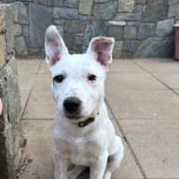 Photo of Moira