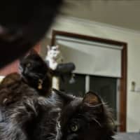 Photo of Mo
