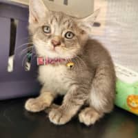 Photo of Donner 🦌