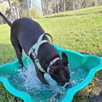 Photo of Maya