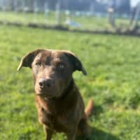 Photo of Max