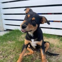 Photo of Coco