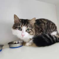 Photo of 🥪 Leonard 5595 🥪