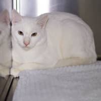 Photo of Cloudy