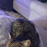 Photo of Evie 