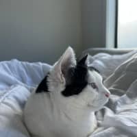 Photo of Winnie