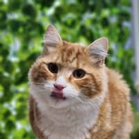 Photo of 🐠 Nemo 5314 🐠