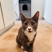 Photo of Cora