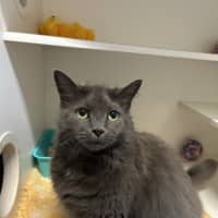 Photo of Esky